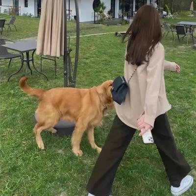 对我青春的呼唤
